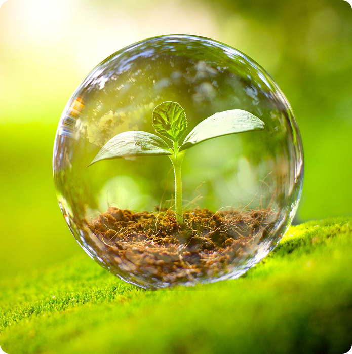Middle East Group Holding Company LLC
